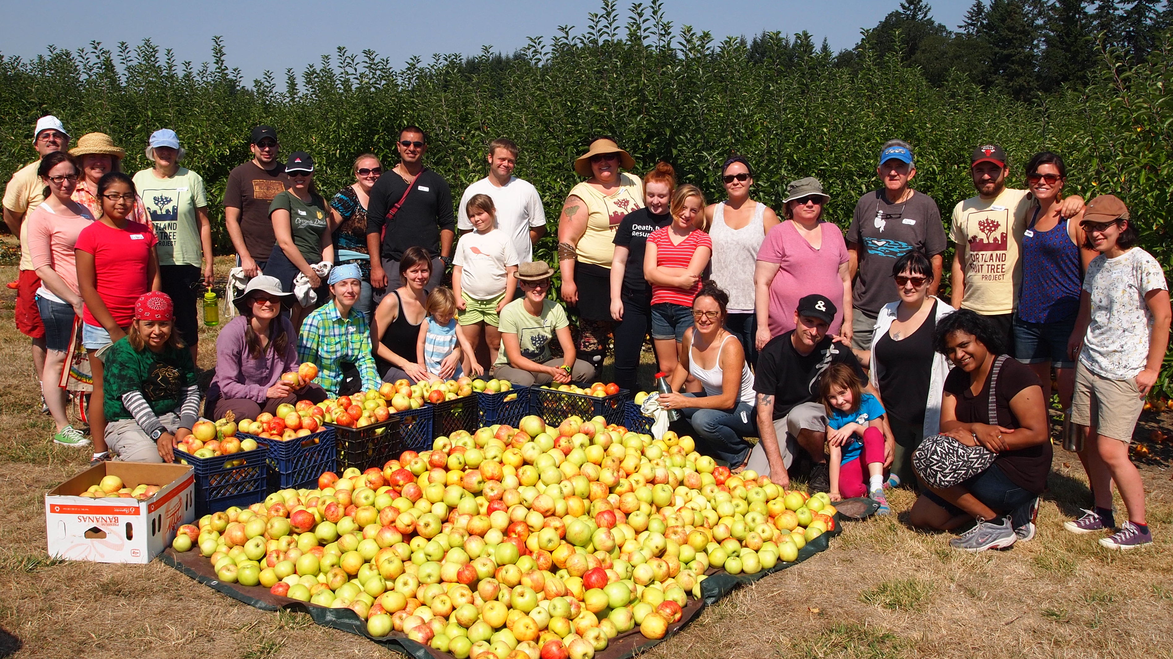 Photo 5 from Portland Fruit Tree Project